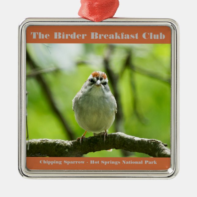 Ornamento De Metal Natureza Fotografia Chipset Sparrow Birder (Frente)