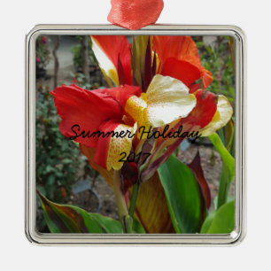 Ornamento De Metal Natureza Red Flower Floral Fotografia