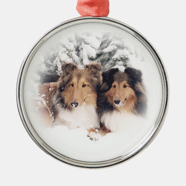 Ornamento De Metal Neve Shelties (Frente)