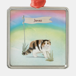 Ornamento De Metal Nome personalizado Pet de Cat. de Cabelo Curto Ex