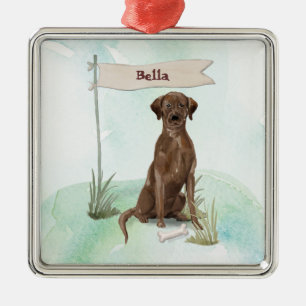 Ornamento De Metal Nome Personalizado Pet Pet de Chocolate