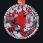 Ornamento De Metal Norte Cardinal masculino, Winter, IL<br><div class="desc">Norte Cardinal (Cardinalis Cardinalis) macho em Common Winterberry (Ilex verticillata) no inverno,  Marion,  IL | Richard & Susan Day / DanitaDelimont.com</div>