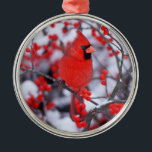 Ornamento De Metal Norte Cardinal masculino, Winter, IL<br><div class="desc">Norte Cardinal (Cardinalis Cardinalis) macho em Common Winterberry (Ilex verticillata) no inverno,  Marion,  IL | Richard & Susan Day / DanitaDelimont.com</div>