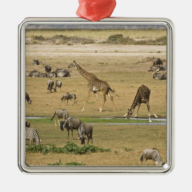Ornamento De Metal Ñus, Zebras e Girafas (Frente)