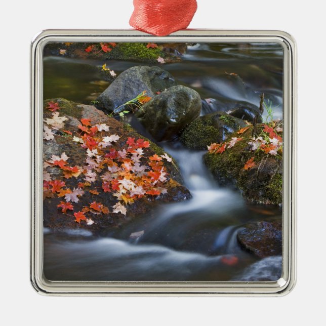 Ornamento De Metal O carpete vermelho deixa as rochas (Frente)