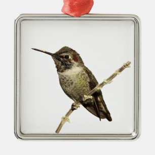 Ornamento De Metal O colibri de Anna