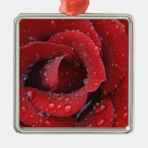 Ornamento De Metal O local coberto de decoração de rosas vermelhas em