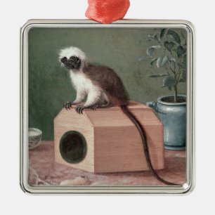 Ornamento De Metal O macaco favorito de Carl Linnaeus