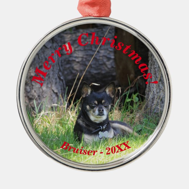 Ornamento De Metal O melhor amigo Pet para sempre guardar presente (Frente)