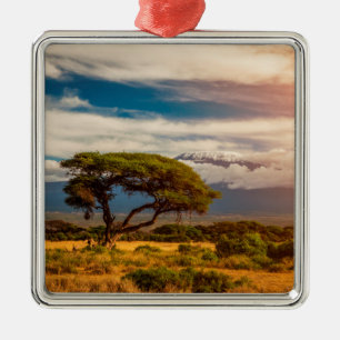 Ornamento De Metal O Monte Kilimanjaro Amboseli, Kenya