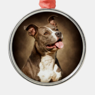 Ornamento De Metal O pitbull azul americano
