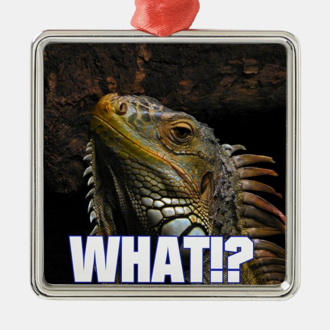 Ornamento De Metal O quê? Iguana (Frente)
