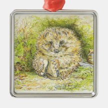 Old Mr Prickly Pin (Hedgehog) (por Beatrix Potter)