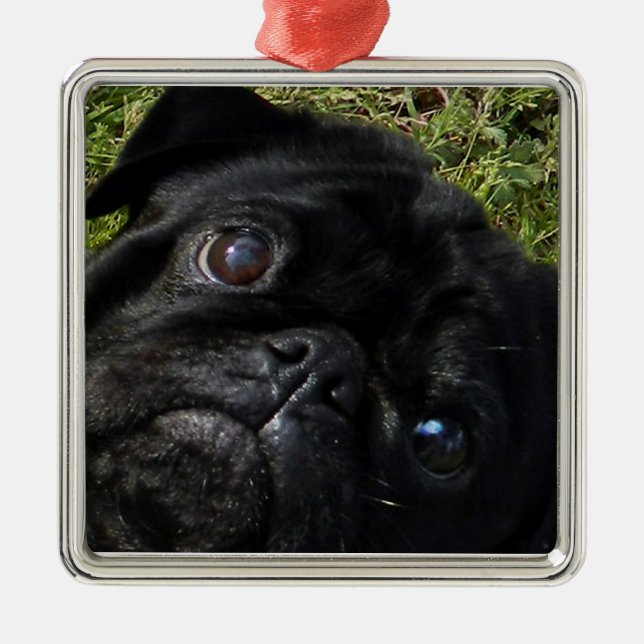 Ornamento De Metal olhos do preto-pug (Frente)