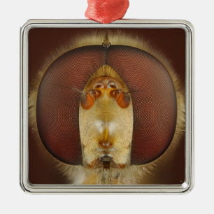 Ornamento De Metal Olhos principais e compostos de uma mosca do pairo