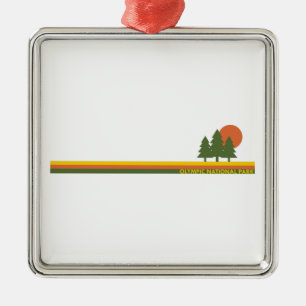 Ornamento De Metal Olimpiadas Parque Nacional Pinheiros Sol