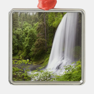 Ornamento De Metal Opinião borrada da cachoeira e da floresta em