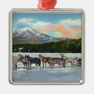 Ornamento De Metal Opinião uma equipe de Dogsled no lago mirror