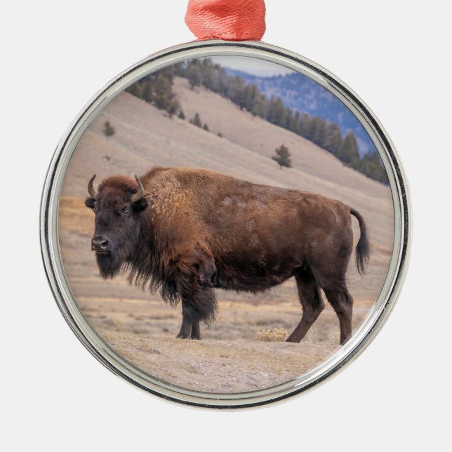 Ornamento De Metal Oranato de Buffalo Bison (Frente)