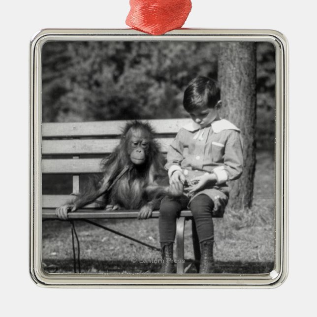 Ornamento De Metal Orangotango e menino - jardim zoológico nacional (Frente)