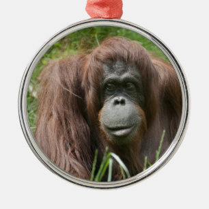 Ornamento De Metal Orangutan