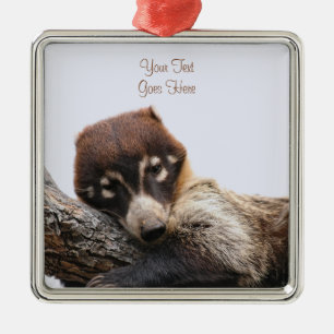 Ornamento De Metal Ornamento: Coatimundi #4 (quadrado superior)