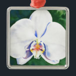 Ornamento De Metal Orquídea branca<br><div class="desc">pintura de cor d'água branca original por H cooper</div>