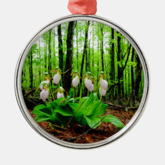 Ornamento De Metal Orquídea silvestre de Lady Slipper Rosa