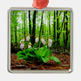 Ornamento De Metal Orquídea silvestre de Lady Slipper Rosa