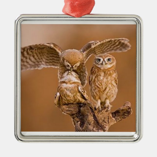 ORNAMENTO DE METAL OWL ORNAMENT (Frente)