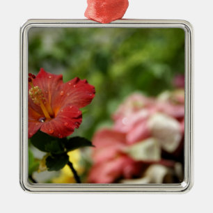 Ornamento De Metal Pacífico Sul, Polinésia Francesa, Sociedade 2