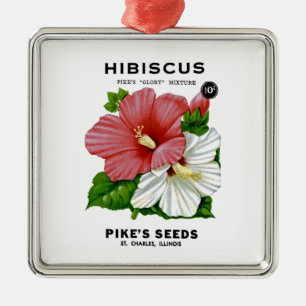 Ornamento De Metal Pacote de Semente de Shasta Daisy Vintage