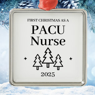Ornamento De Metal Pacu Nurse Natal