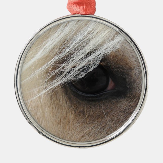 Ornamento De Metal Palomino (Frente)