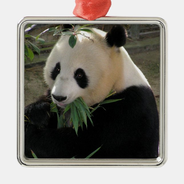 Ornamento De Metal Panda Bear Hugs (Frente)