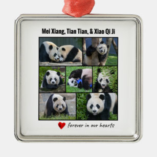 Ornamento De Metal Pandas do Jardim Zoológico Nacional "Para Sempre e