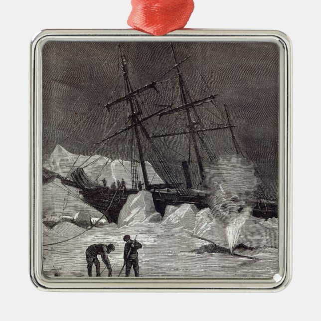 Ornamento De Metal Pandora beliscou no gelo (Frente)