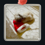 Ornamento De Metal Papais noeis capturados<br><div class="desc">Oops! Faça aquele Papai noel Hat! Bem, ele quase o "pegou"! Personalize este design Pekingês com nossa ferramenta de texto, adicione cores de fundo com facilidade, torne-o seu! Venha visitar nosso Compro Maggie Ross Pekingese para ver muitos designs sazonais criados do meu trabalho artístico original. Pekinese para todas as estações...</div>