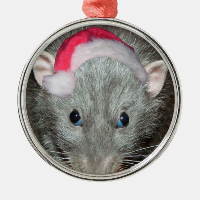 Ornamento De Metal Papais noeis Dumbo Rato Natal (Frente)