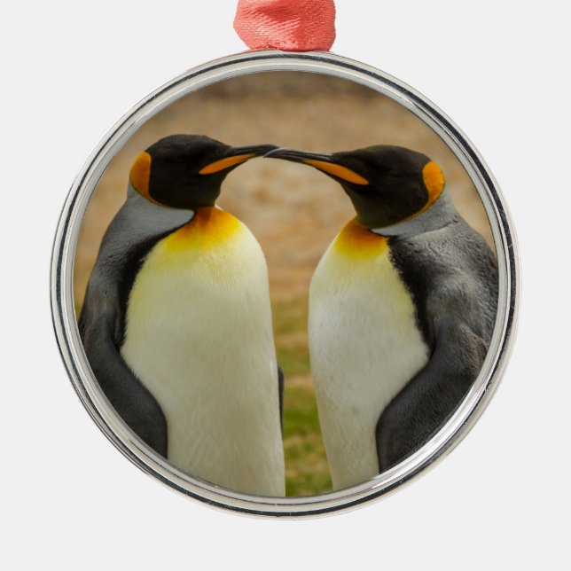 Ornamento De Metal Par de pinguins-imperadores, Ilhas Falkland (Frente)