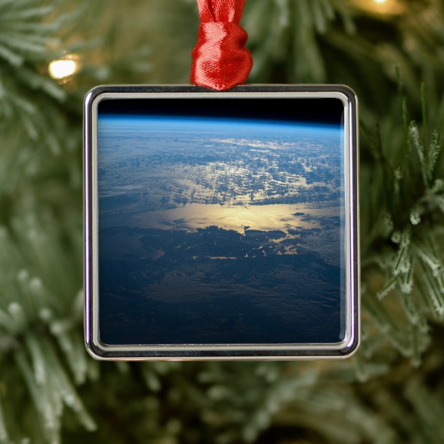 Ornamento De Metal Parque Nacional de Laguna San Rafael, no sul do Ch (Árvore)