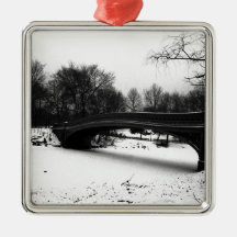 Parque NYC. de Centeral do inverno