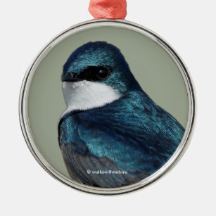 Ornamento De Metal Pássaro Canalizador Azul De Engorda De Árvore Boni