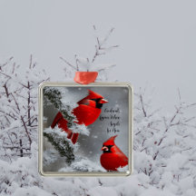 Pássaros Cardinals Vermelhos Anjos Estão Perto Lem