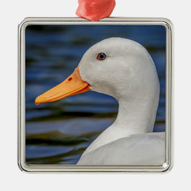 Ornamento De Metal Pato-real branco (Frente)
