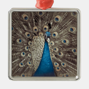 Ornamento De Metal Pavão Azul Antiquado