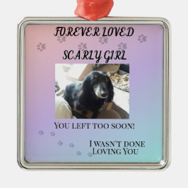 Ornamento De Metal Pawprints Across the Rainbo Tribute