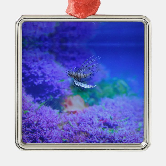 Ornamento De Metal Peixe-Leão-Aquário Peixe-Púrpura Pterois Zebrafish (Frente)