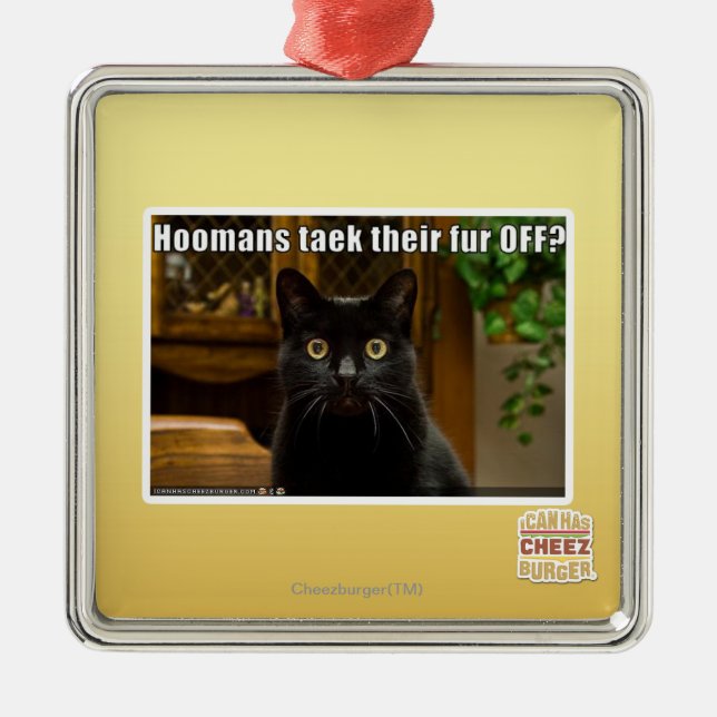 Ornamento De Metal Pele de Hoomans Taek lá FORA? (Frente)