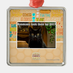 Ornamento De Metal Pele de Hoomans Taek lá FORA?